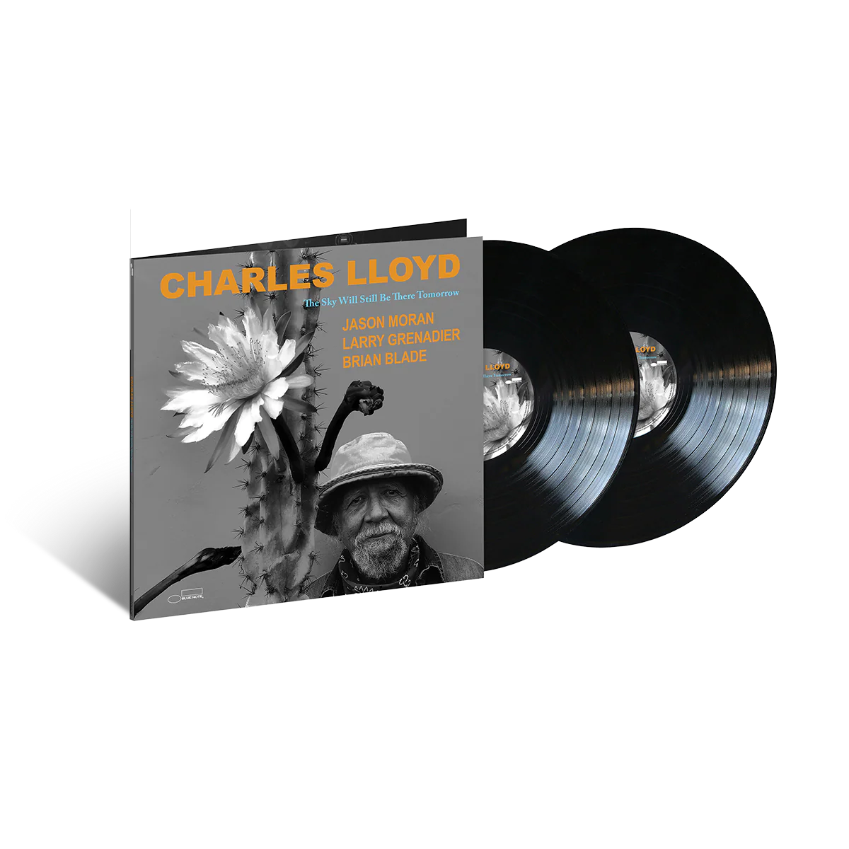 The Sky Will Still Be There Tomorrow: Vinyl 2LP