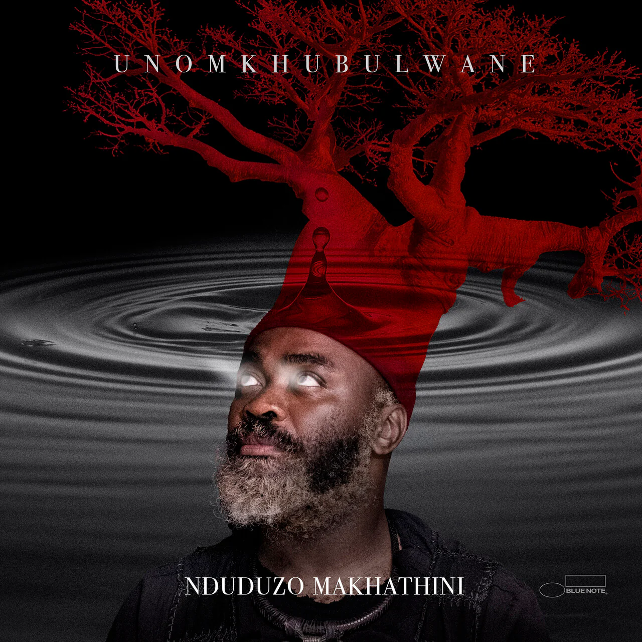 uNomkhubulwane: Vinyl LP